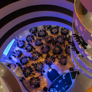 Image 2 UnderOculus 20241114 273 SMALL JPG (1)